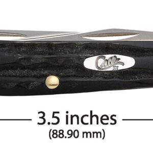 Jigged Buffalo Horn Mini Trapper