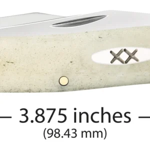 Smooth Natural Bone Muskrat