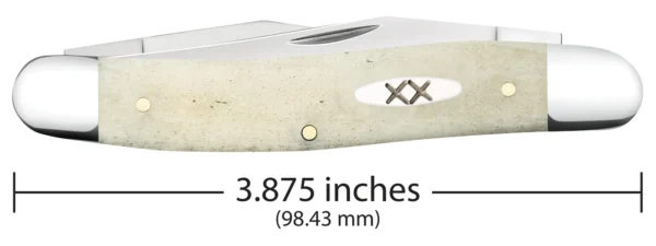 Smooth Natural Bone Muskrat - Image 2