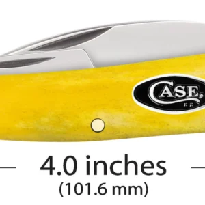 Smooth Yellow Bone Seahorse Whittler